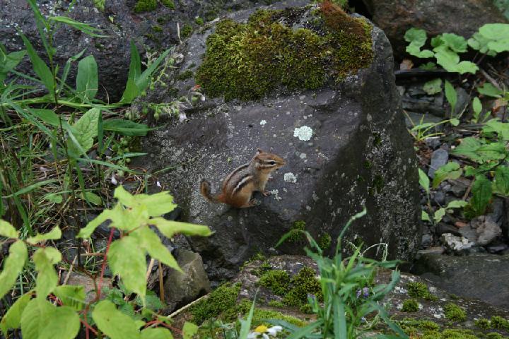Moulin 017.JPG